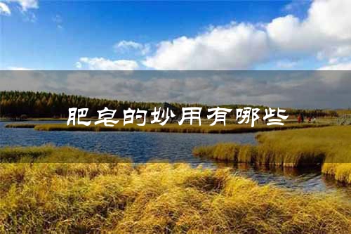 肥皂的妙用有哪些