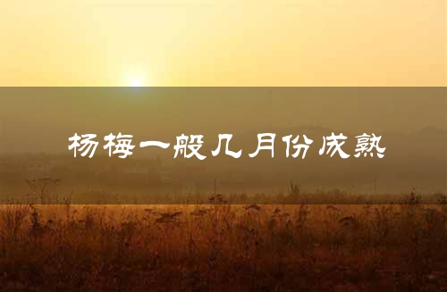 杨梅一般几月份成熟