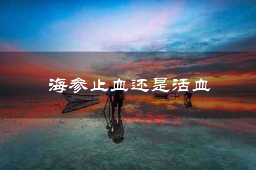 海参止血还是活血