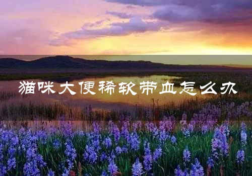 猫咪大便稀软带血怎么办