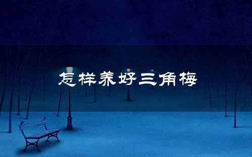 怎样养好三角梅