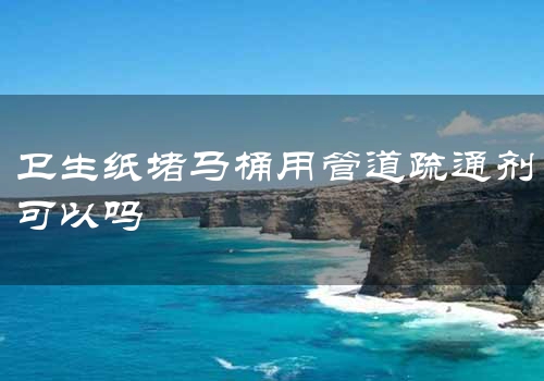 卫生纸堵马桶用管道疏通剂可以吗