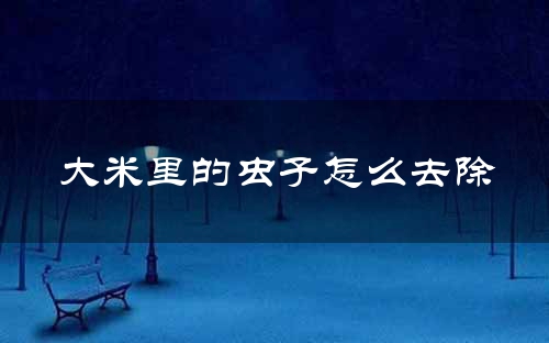 大米里的虫子怎么去除