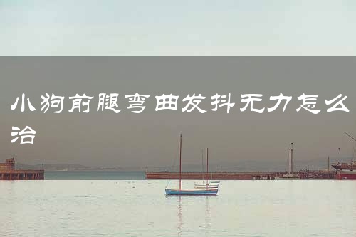 小狗前腿弯曲发抖无力怎么治