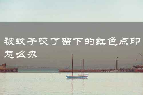 被蚊子咬了留下的红色点印怎么办