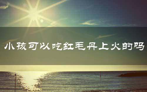 小孩可以吃红毛丹上火的吗