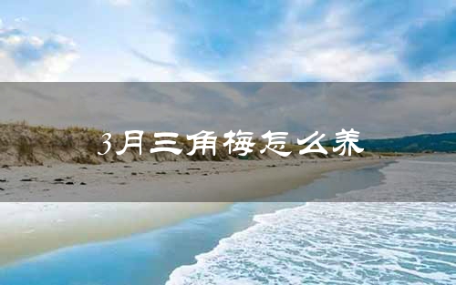 3月三角梅怎么养