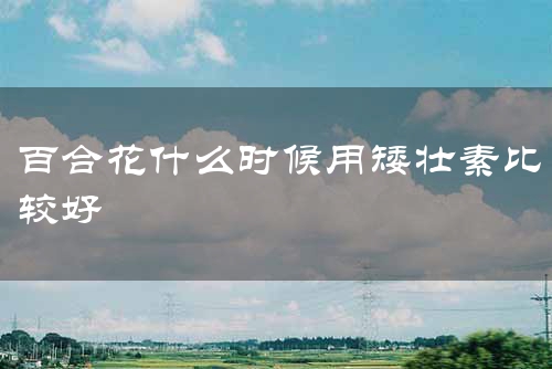 百合花什么时候用矮壮素比较好