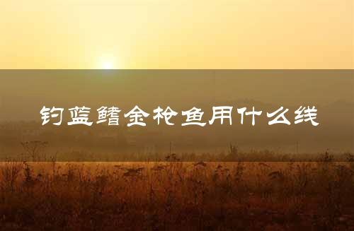 钓蓝鳍金枪鱼用什么线