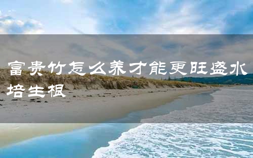 富贵竹怎么养才能更旺盛水培生根