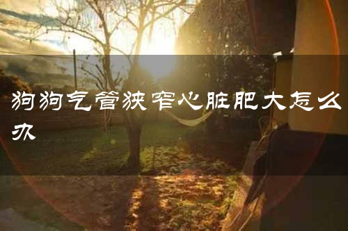 狗狗气管狭窄心脏肥大怎么办