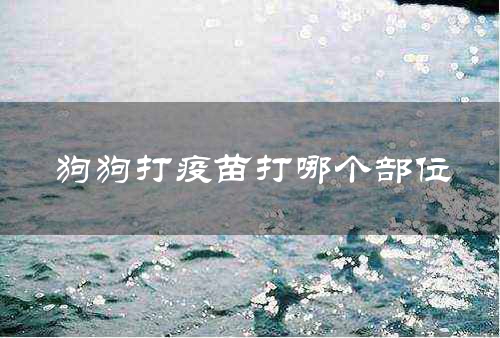 狗狗打疫苗打哪个部位