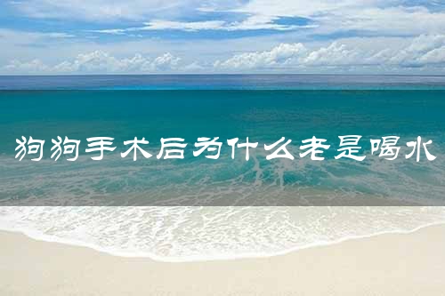 狗狗手术后为什么老是喝水