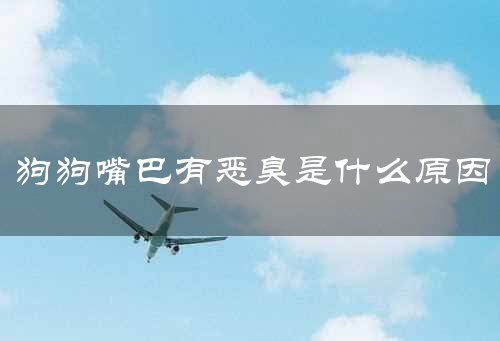 狗狗嘴巴有恶臭是什么原因