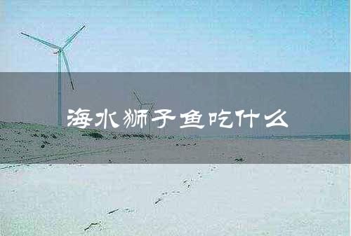 海水狮子鱼吃什么