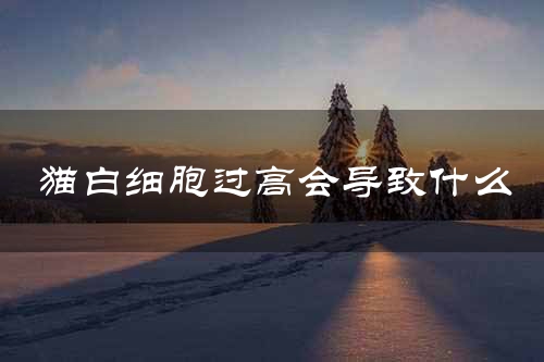 猫白细胞过高会导致什么