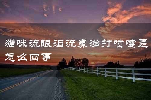 猫咪流眼泪流鼻涕打喷嚏是怎么回事