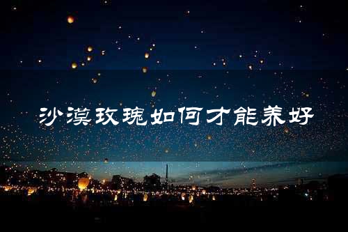沙漠玫瑰如何才能养好