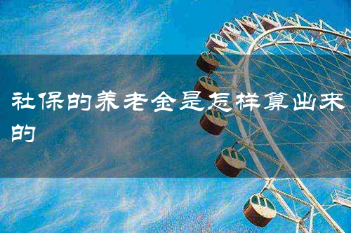 社保的养老金是怎样算出来的