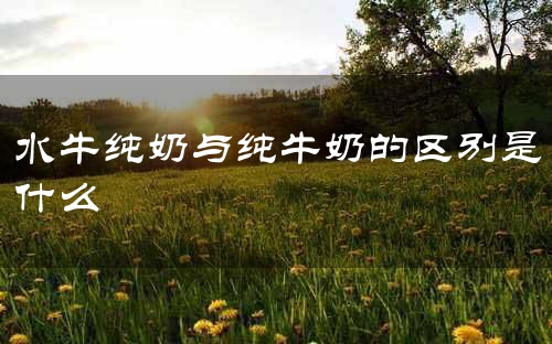 水牛纯奶与纯牛奶的区别是什么