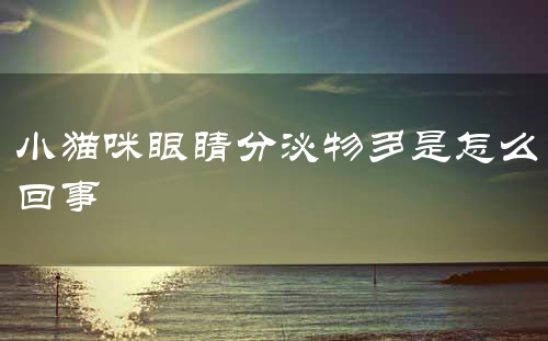 小猫咪眼睛分泌物多是怎么回事