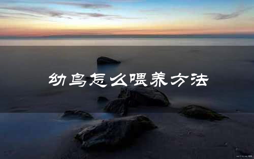 幼鸟怎么喂养方法