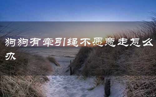 狗狗有牵引绳不愿意走怎么办