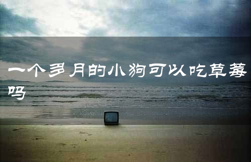 一个多月的小狗可以吃草莓吗