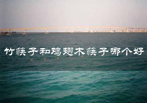竹筷子和鸡翅木筷子哪个好