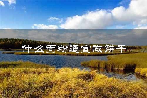 什么面粉适宜做饼干