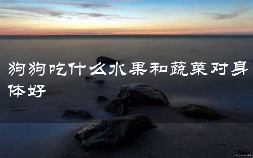 狗狗吃什么水果和蔬菜对身体好