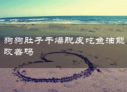 狗狗肚子干燥脱皮吃鱼油能改善吗