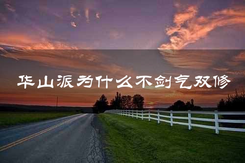 华山派为什么不剑气双修