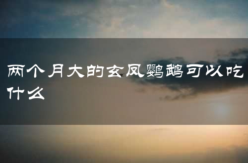 两个月大的玄凤鹦鹉可以吃什么