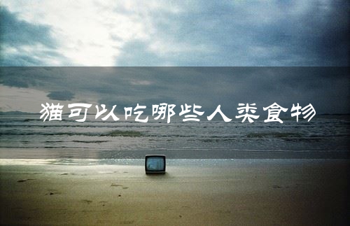 猫可以吃哪些人类食物