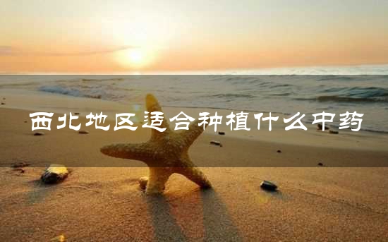 西北地区适合种植什么中药