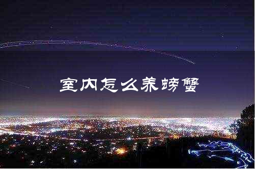 室内怎么养螃蟹