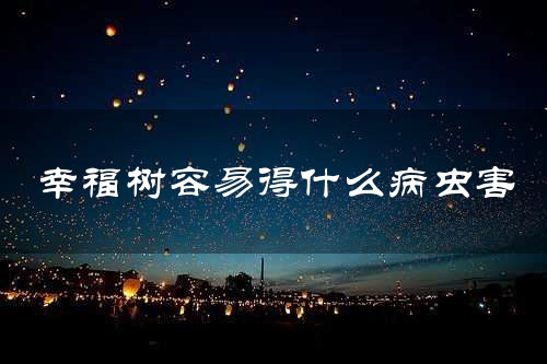 幸福树容易得什么病虫害