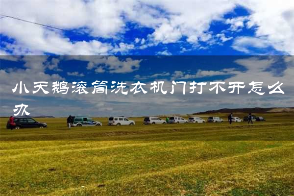 小天鹅滚筒洗衣机门打不开怎么办
