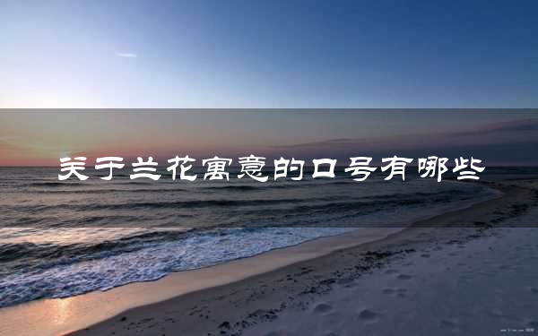 关于兰花寓意的口号有哪些