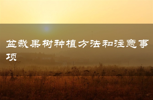 盆栽果树种植方法和注意事项