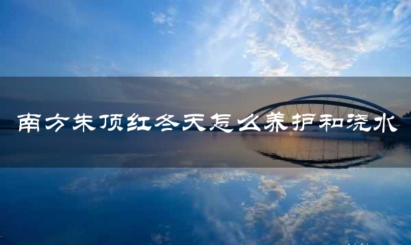 南方朱顶红冬天怎么养护和浇水