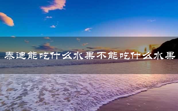 泰迪能吃什么水果不能吃什么水果