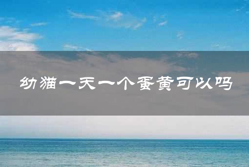 幼猫一天一个蛋黄可以吗