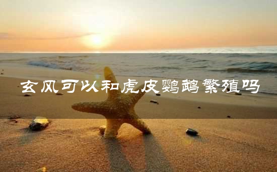 玄风可以和虎皮鹦鹉繁殖吗