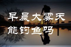 早晨大雾天能钓鱼吗