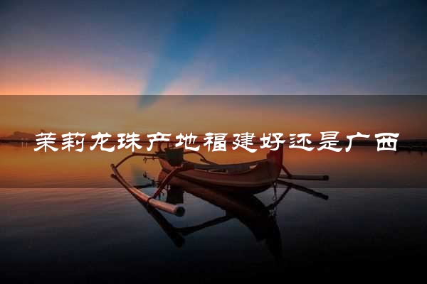 茉莉龙珠产地福建好还是广西