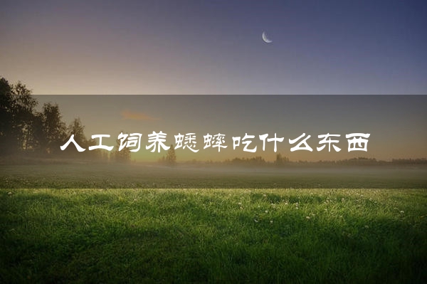 人工饲养蟋蟀吃什么东西