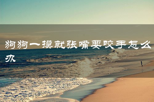 狗狗一摸就张嘴要咬手怎么办