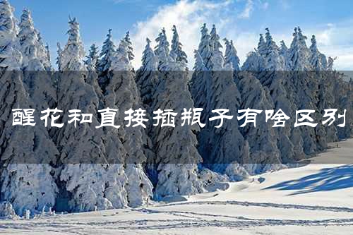 醒花和直接插瓶子有啥区别